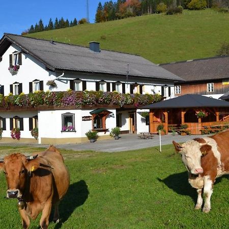 Bio Bauernhof Moas Villa Lunz am See Exterior photo