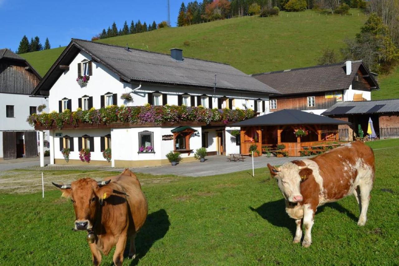 Bio Bauernhof Moas Villa Lunz am See Exterior photo